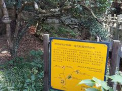 -普陀山慧济禅寺