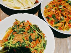 鸭掌筋-壹盏灯(惠农店)