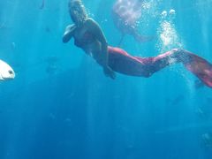 -瑞德姆美人鱼海底演艺主题餐厅(亚龙湾店)
