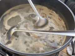 -东鸽皇(奥园·中环广场店)