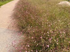 -汉长安城未央宫国家考古遗址公园