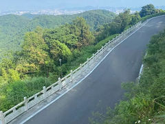 -阳台山森林公园
