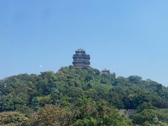 -七欣天香辣蟹火锅(南京建宁路大观天地店)