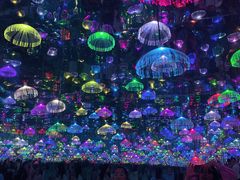 -上海梵高星空艺术馆(南京路旗舰店)