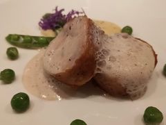 -蝶舍·MAISON PAPILLON