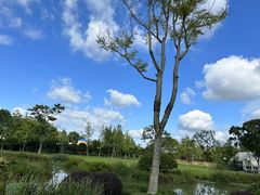 -蜀水别园(青杠树店)