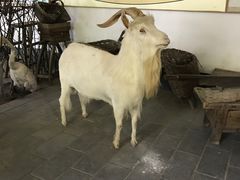 -河北村民俗体验园