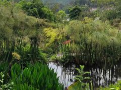 -腾冲洞山温泉村