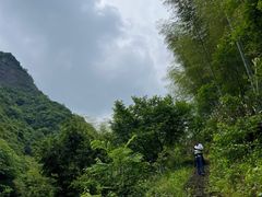 -东白山