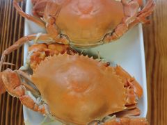 -崖口煲仔饭