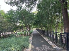 -桃花堤公园