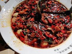 -胡桃里音乐酒馆(罗湖HALO广场店)
