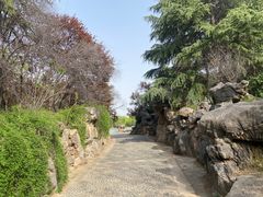-洛阳市隋唐城遗址植物园