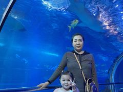 -太平洋海底世界