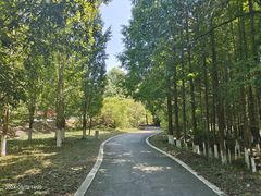 -桤木河湿地公园