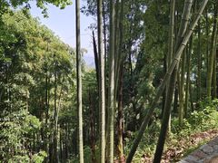 -莫干山风景区