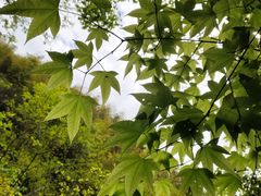 -藏龙百瀑风景区