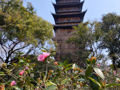 -常熟方塔园