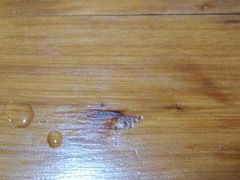 -人和水上飘(第一家店)
