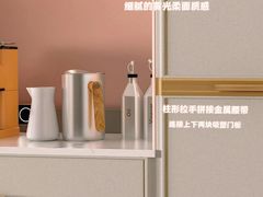 -索菲亚全屋定制衣柜橱柜家具(东四环红星美凯龙大郊亭店)