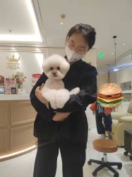 -U3美甲
