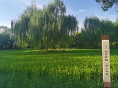 -北坞公园