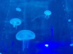 -龙谷湾旅游休闲度假区