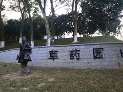 -东莞植物园