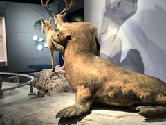 -中国湿地博物馆