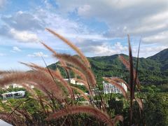 -白石龙音乐公园