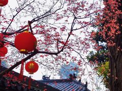-龙华寺