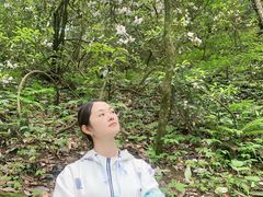 -九峰山
