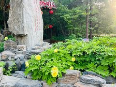 -太阳宫公园