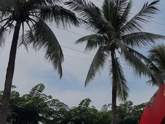 -万绿园
