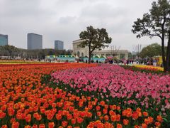 -大宁公园