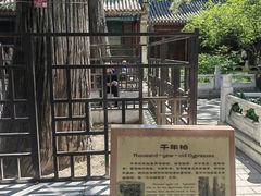 -潭柘寺景区
