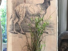 -森野花艺培训·企业团建活动沙龙