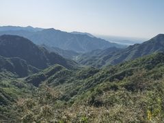 -大岭沟猕猴桃谷风景区