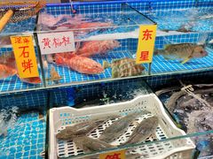 水产区-珠光市场(文德南路)