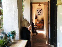 -猫色咖啡·猫咖