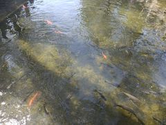 -大海碗·京菜炸酱面(雍和宫店)