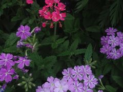 -川流不息(北蔡休闲广场店)