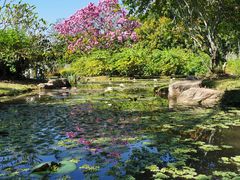 -中国科学院西双版纳热带植物园