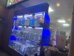 -石锅苗苗鱼(武汉首店)
