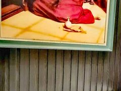 -彩虹之约•淮扬家宴(亚运村店)