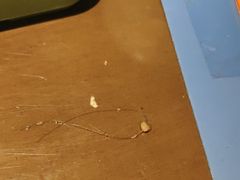 -胖哥俩肉蟹煲(福州仓山爱琴海店)