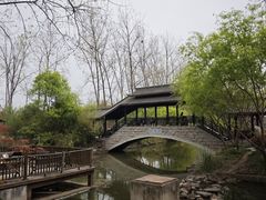 -合肥滨湖国家森林公园