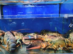 水产区-蚝专家(北滘店)