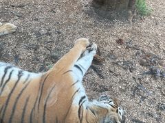 -云南野生动物园