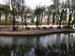 -莲花池公园